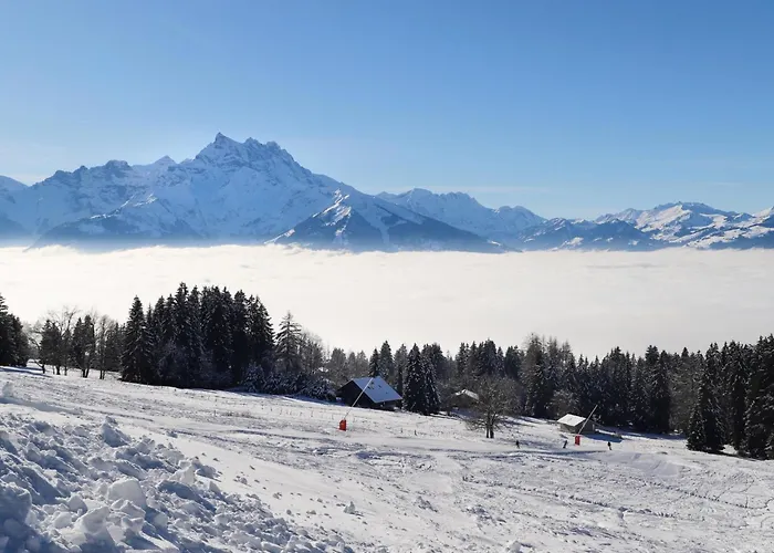 Hyacinthe 11 By Interhome Lägenhet Villars-sur-Ollon