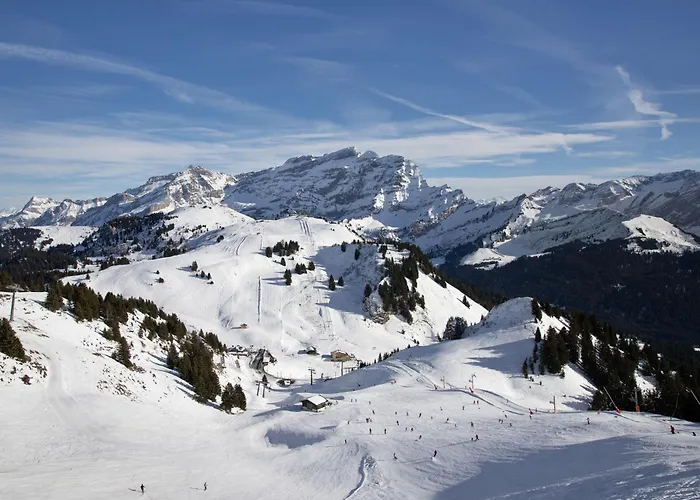 Lägenhet Hyacinthe 11 By Interhome Villars-sur-Ollon